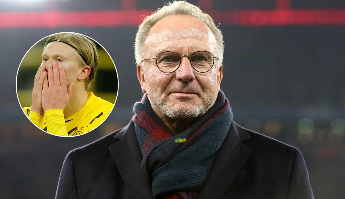 的金字